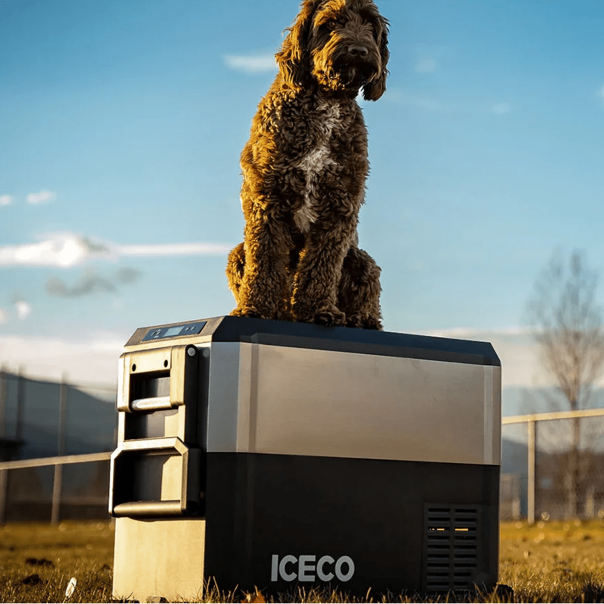 Glacière Compresseur ICECO JP50 PROS 50L – Frigo/Freezer Off-Road - BYD Shark 2024+