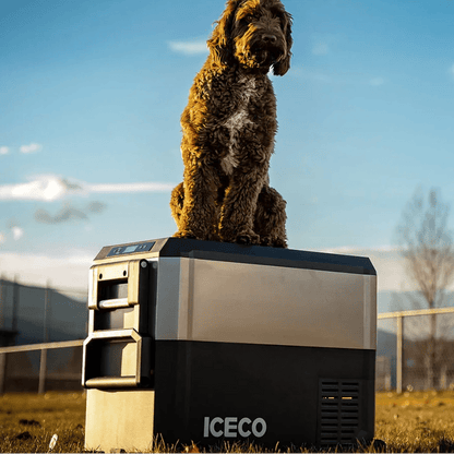 Glacière Compresseur ICECO JP50 PROS 50L – Frigo/Freezer Off-Road - BYD Shark 2024+