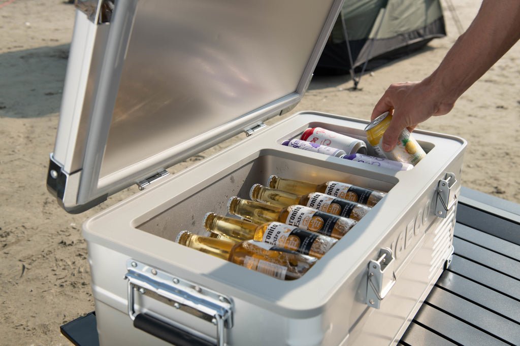 Refrigerateur/Congelateur ICECO 20L Single-Zone - Argent - BYD Shark 2024+