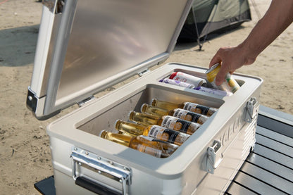 Refrigerateur/Congelateur ICECO 20L Single-Zone - Argent - BYD Shark 2024+