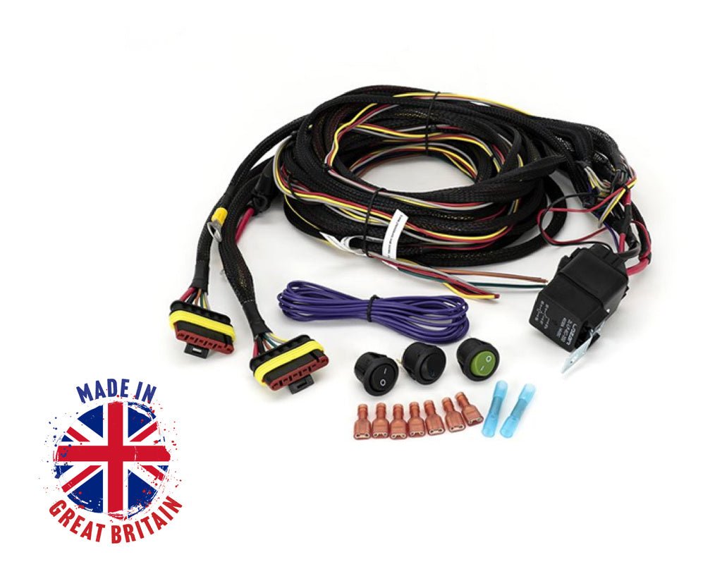 Deux projecteurs Faisceau de câblage (Triple-R, Gyrophare, 12V) LAZER LAMPS - BYD Shark 2024+