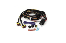Deux projecteurs Faisceau de câblage (Triple-R, Gyrophare, 12V) LAZER LAMPS - BYD Shark 2024+