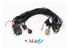 Simple-Lamp Faisceau de câblage - avec LowBeam Assist LAZER LAMPS - BYD Shark 2024+