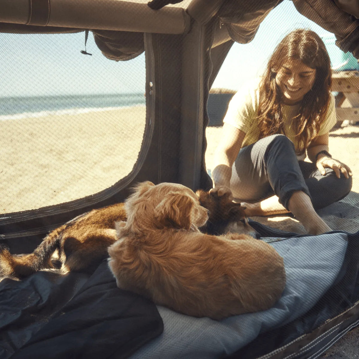 Niche Gonflable pour chiens - DOMETIC - BYD Shark 2024+