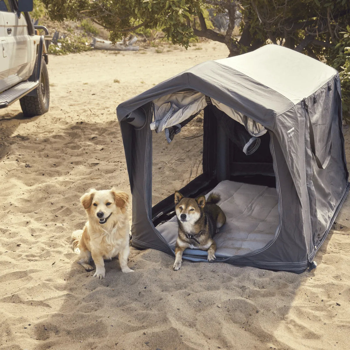 Niche Gonflable pour chiens - DOMETIC - BYD Shark 2024+