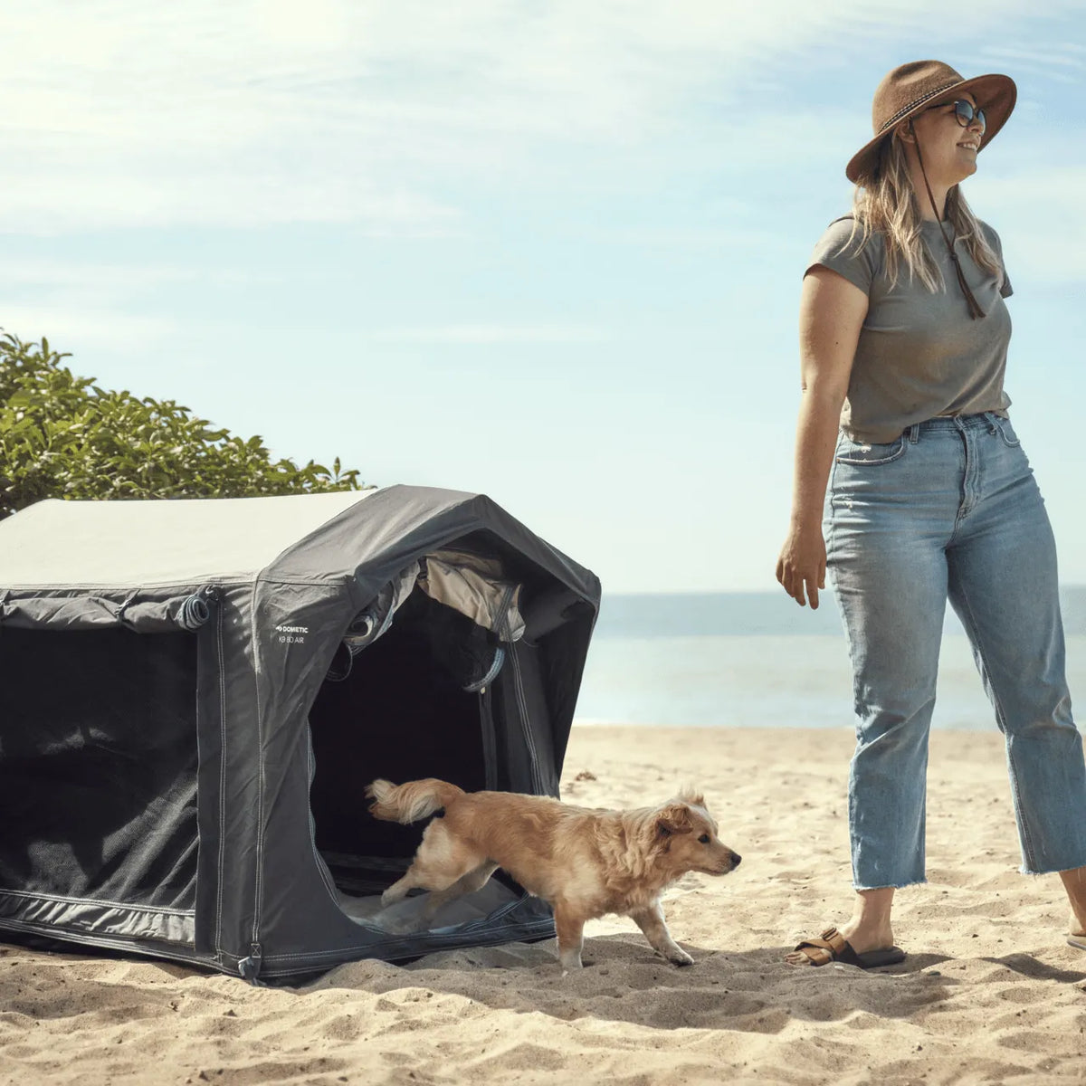 Niche Gonflable pour chiens - DOMETIC - BYD Shark 2024+