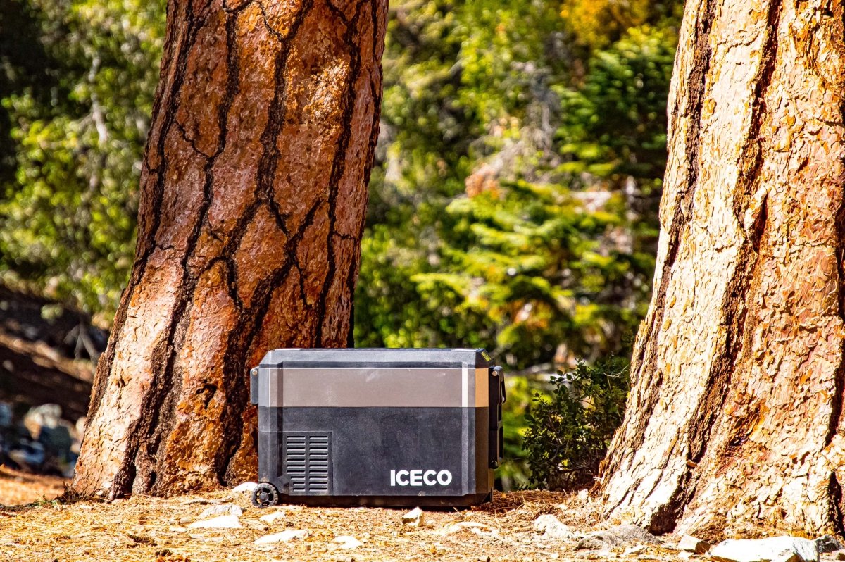 Réfrigérateur Congélateur ICECO JP40 PROS - SINGLE ZONE 40L - BYD Shark 2024+